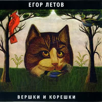 видео